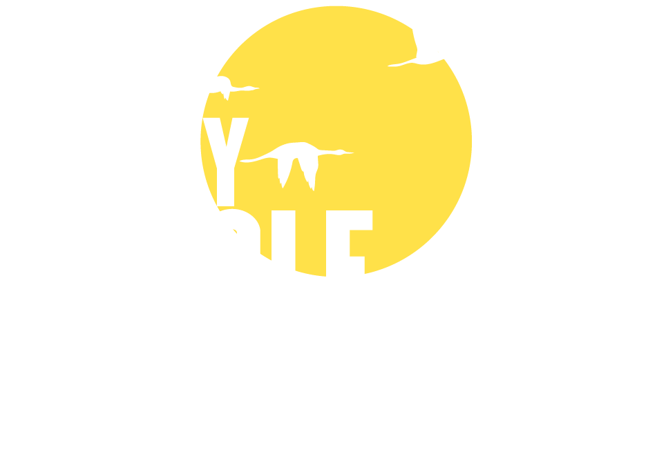 My Jungle Junction